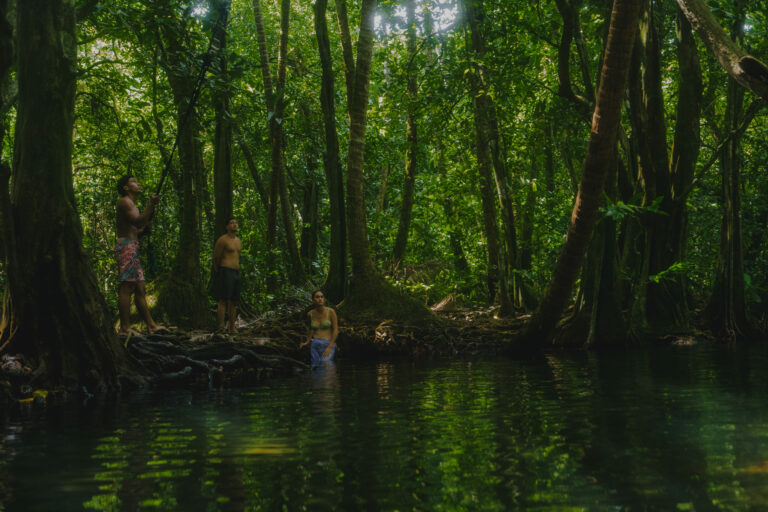 excursion bateau vairao teahupoo tahiti