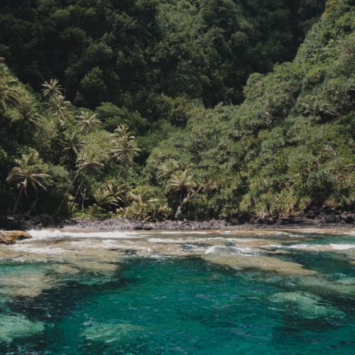 Bateau excursion presqu'île