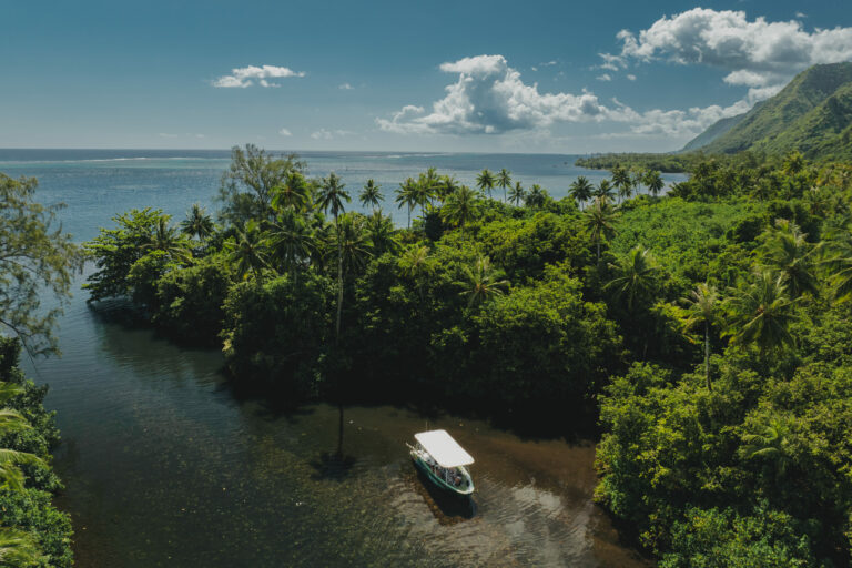 Bateau excursion presqu'île tahiti
