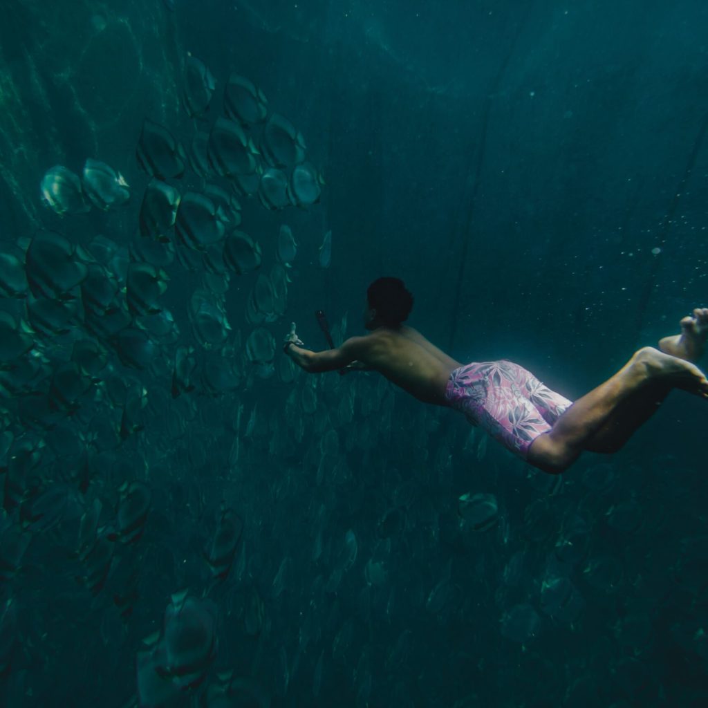 Excursion snorkeling Tahiti Vairao